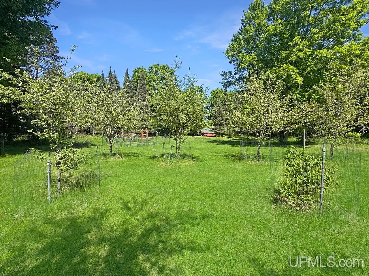 Twenty-Two Acres on Buck Lake, Deep in Iron County